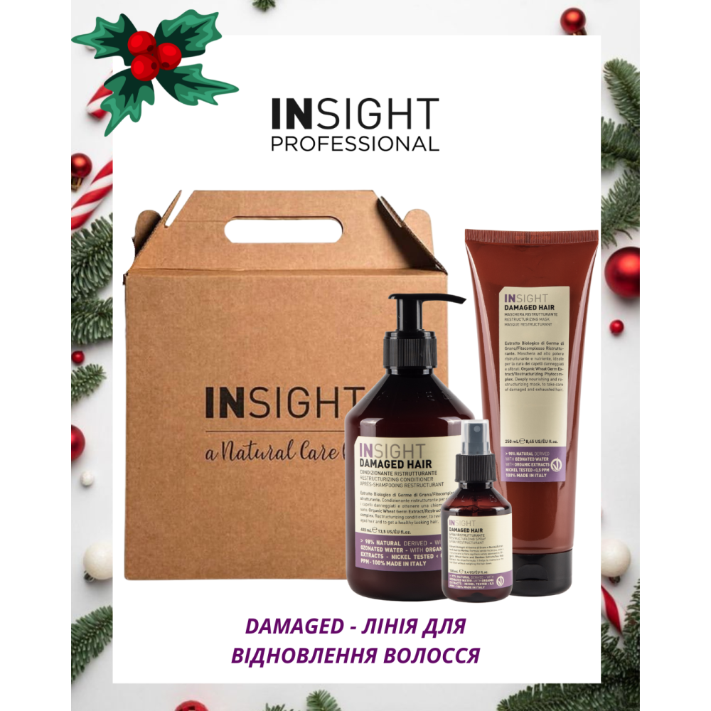 Набір подарунковий Insight для відновлення пошкодженого волосся, №3